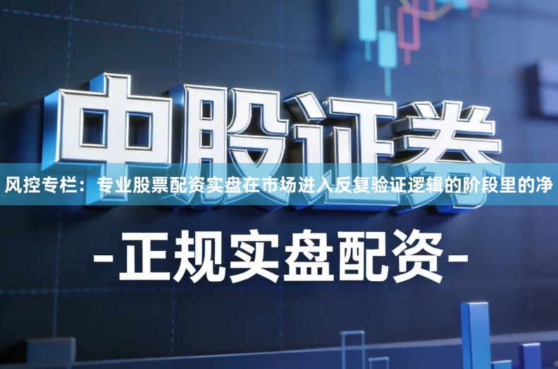 风控专栏：专业股票配资实盘在市场进入反复验证逻辑的阶段里的净