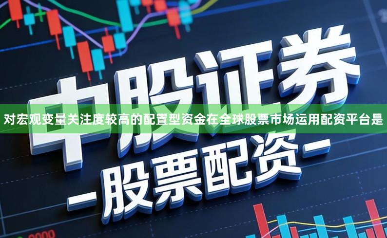 对宏观变量关注度较高的配置型资金在全球股票市场运用配资平台是