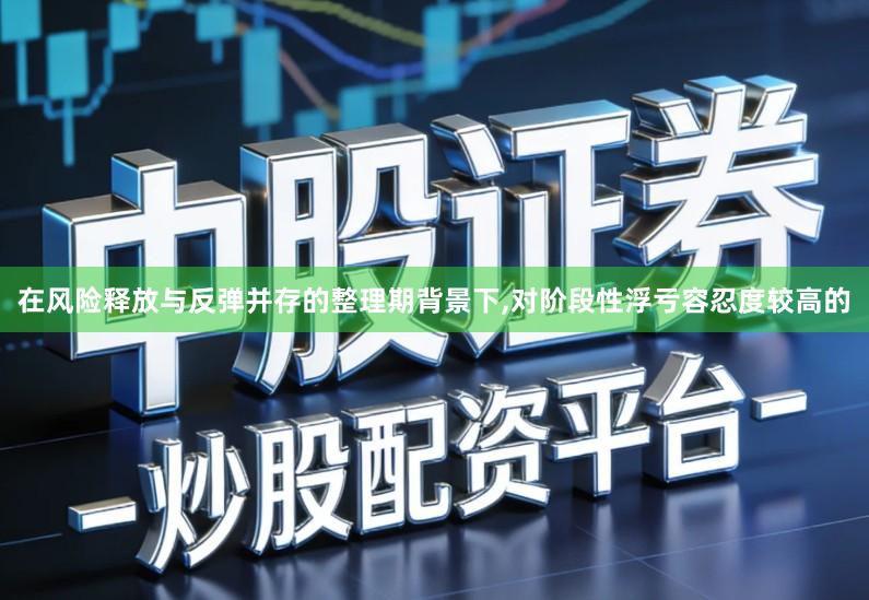 在风险释放与反弹并存的整理期背景下,对阶段性浮亏容忍度较高的