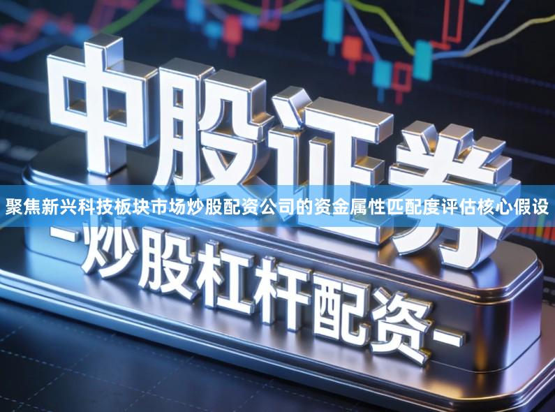 聚焦新兴科技板块市场炒股配资公司的资金属性匹配度评估核心假设