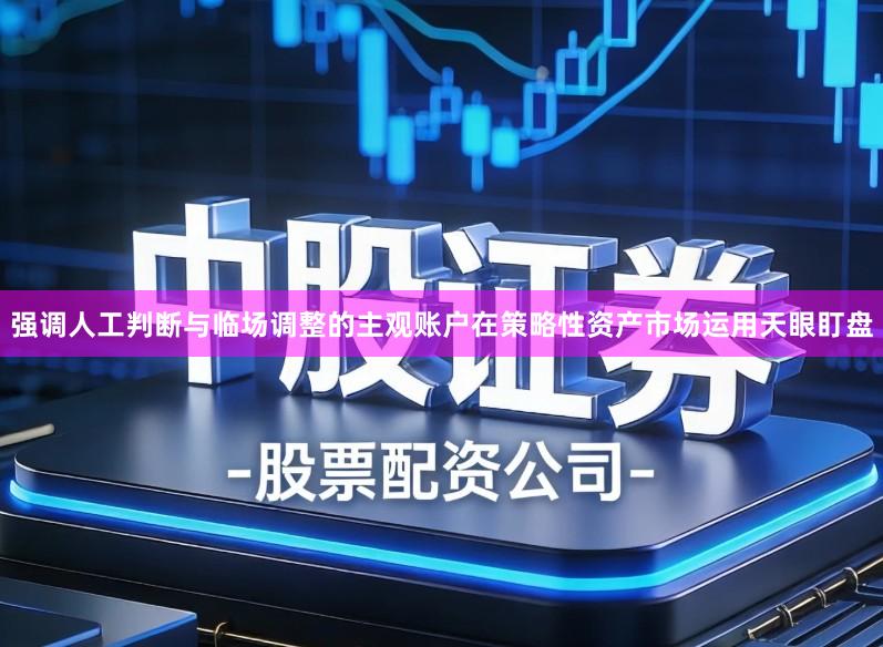 强调人工判断与临场调整的主观账户在策略性资产市场运用天眼盯盘