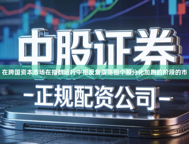 在跨国资本市场在指数运行中枢反复震荡但个股分化加剧的阶段的市